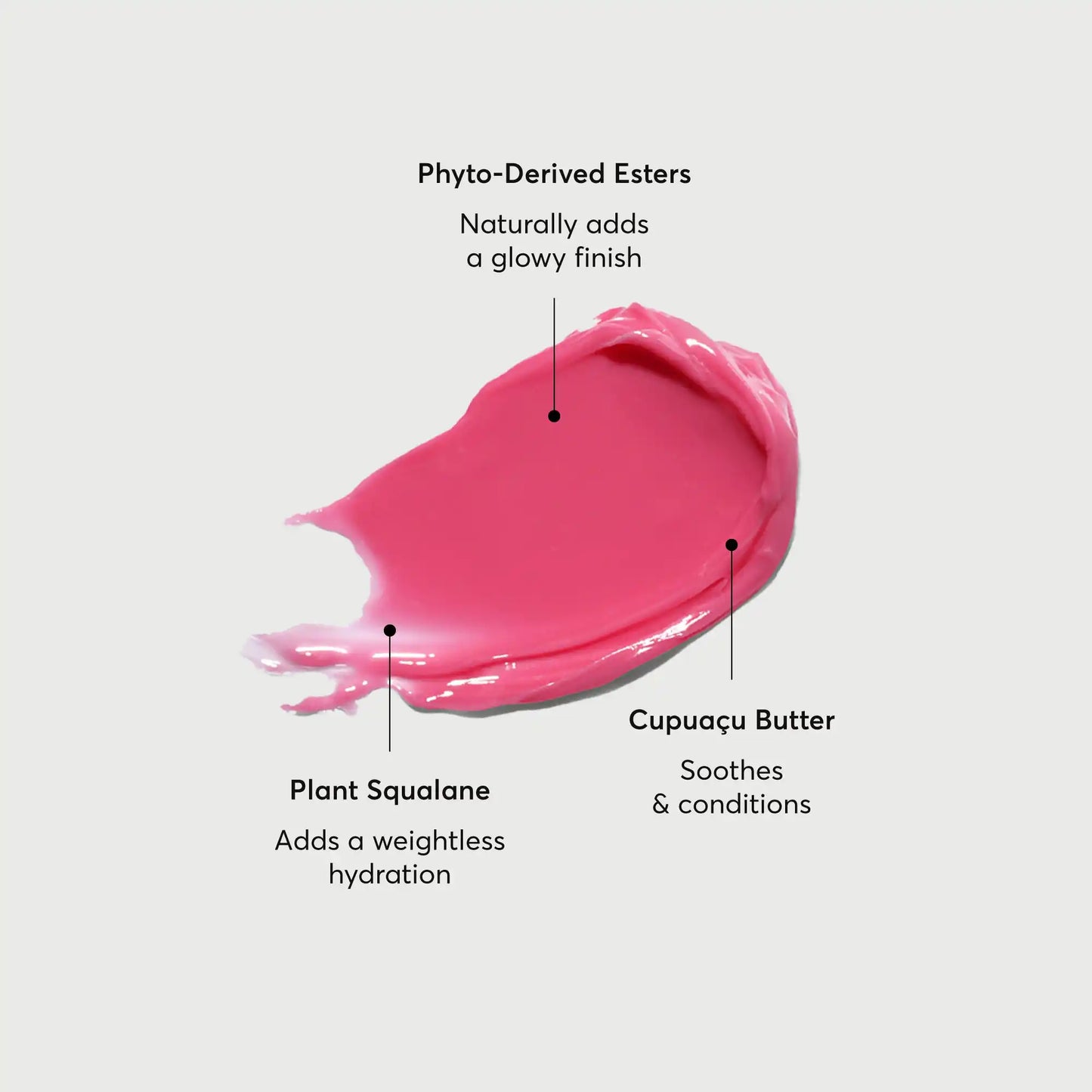 phyto-glow-lip-balm-camellia-l3 NATR-60075-Alt-Images-Phyto-Glow-Lip-Balm-Camellia-01.webp